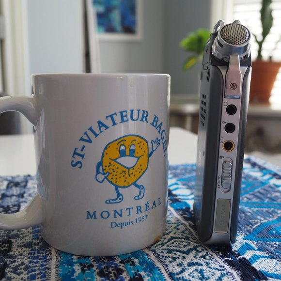 Philips VoiceTracer DVT7500 Digital Recorder for Music Recording -Discontinued! - Picture 8 of 11